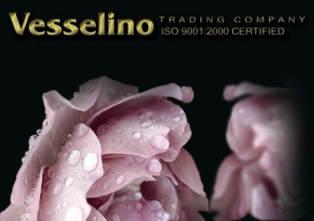VESSELINO LTD.